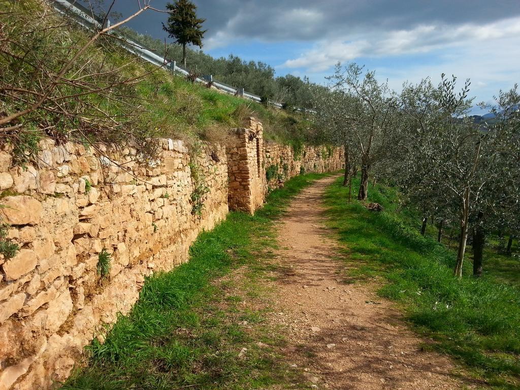 Terra Dei Santi 2*