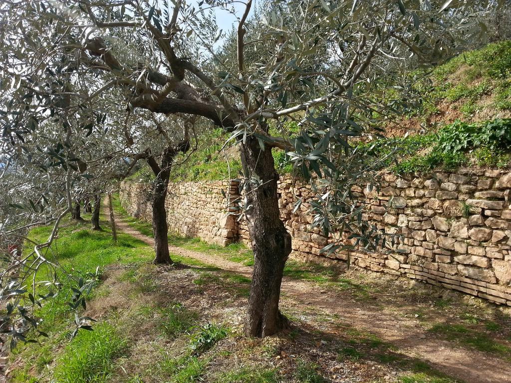 Terra Dei Santi