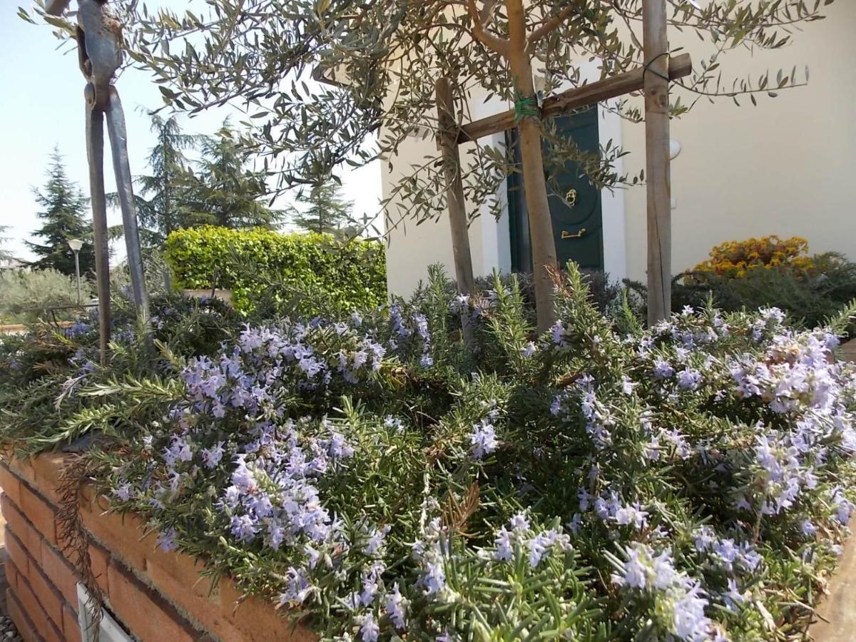 Aparthotel Terra Dei Santi Country House 2*