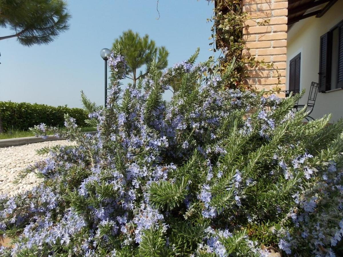 Terra Dei Santi Country House Aparthotel 2*